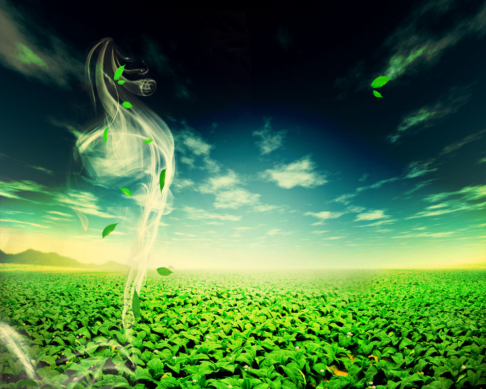 低煙無(wú)鹵電纜